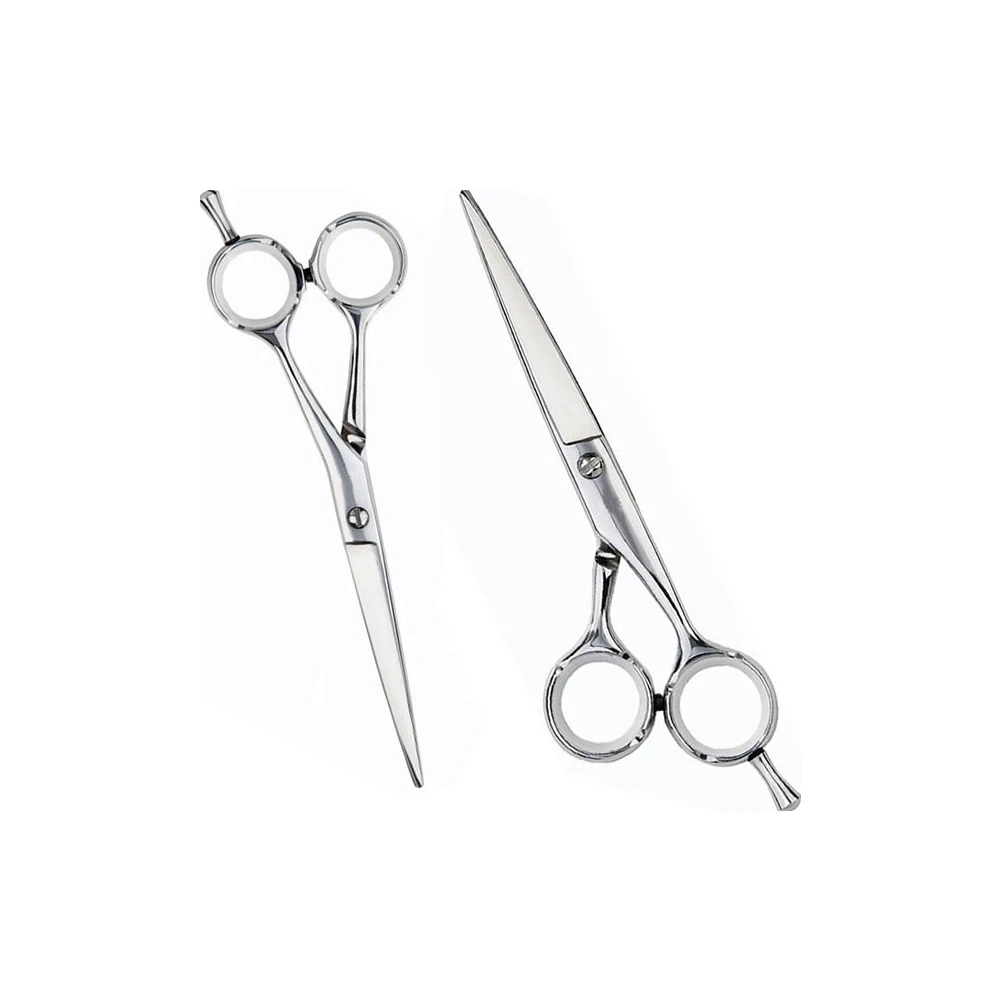 Set Profesional de Tijeras Color Plata
