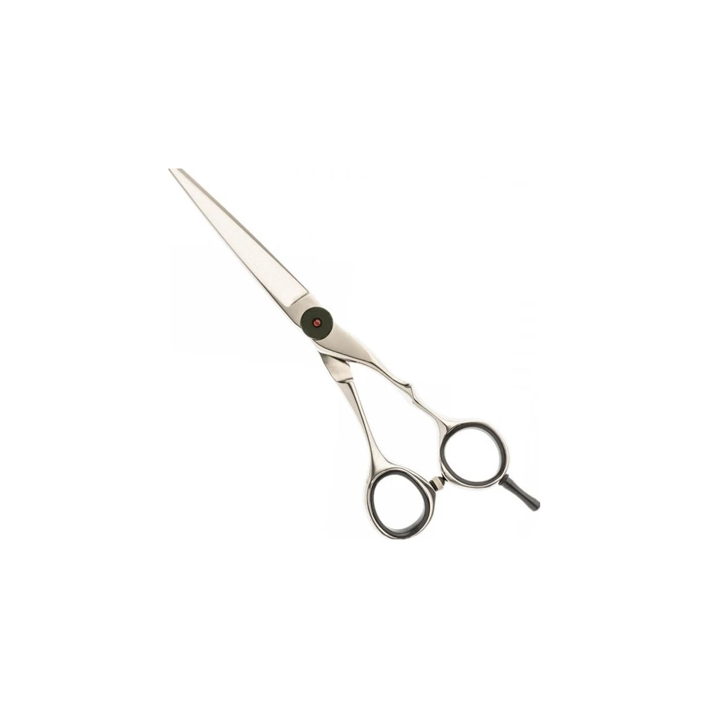 Silber Professionelles Friseurscheren Set mit Schwarzer Schraube