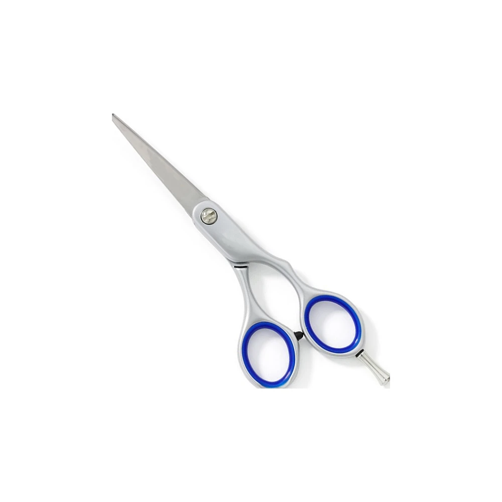 Ensemble Professionnel de Ciseaux de Coiffure Bleu Argent