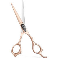 Premium Precision Hairdressing Scissors