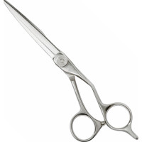 Hell Silber Professionelles Friseurscheren Set